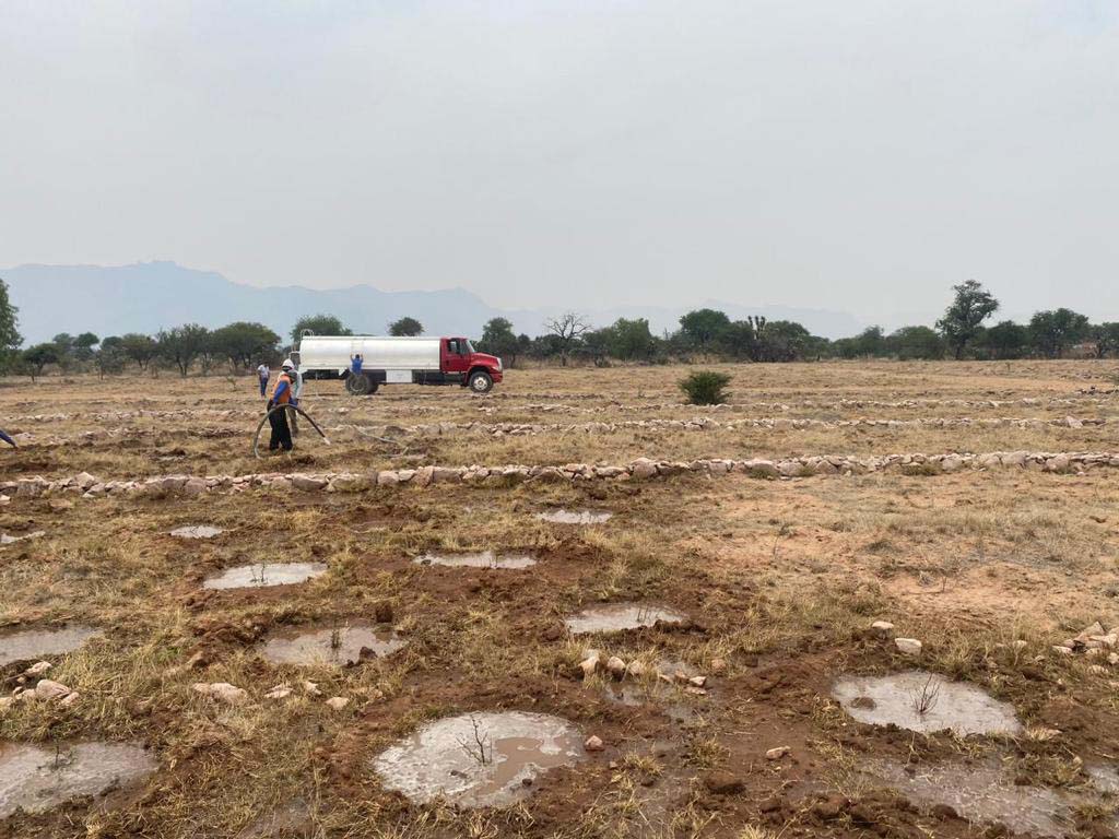 PRAMSEI: Proyectos ambientales en etapas constructivas y operativas (71)